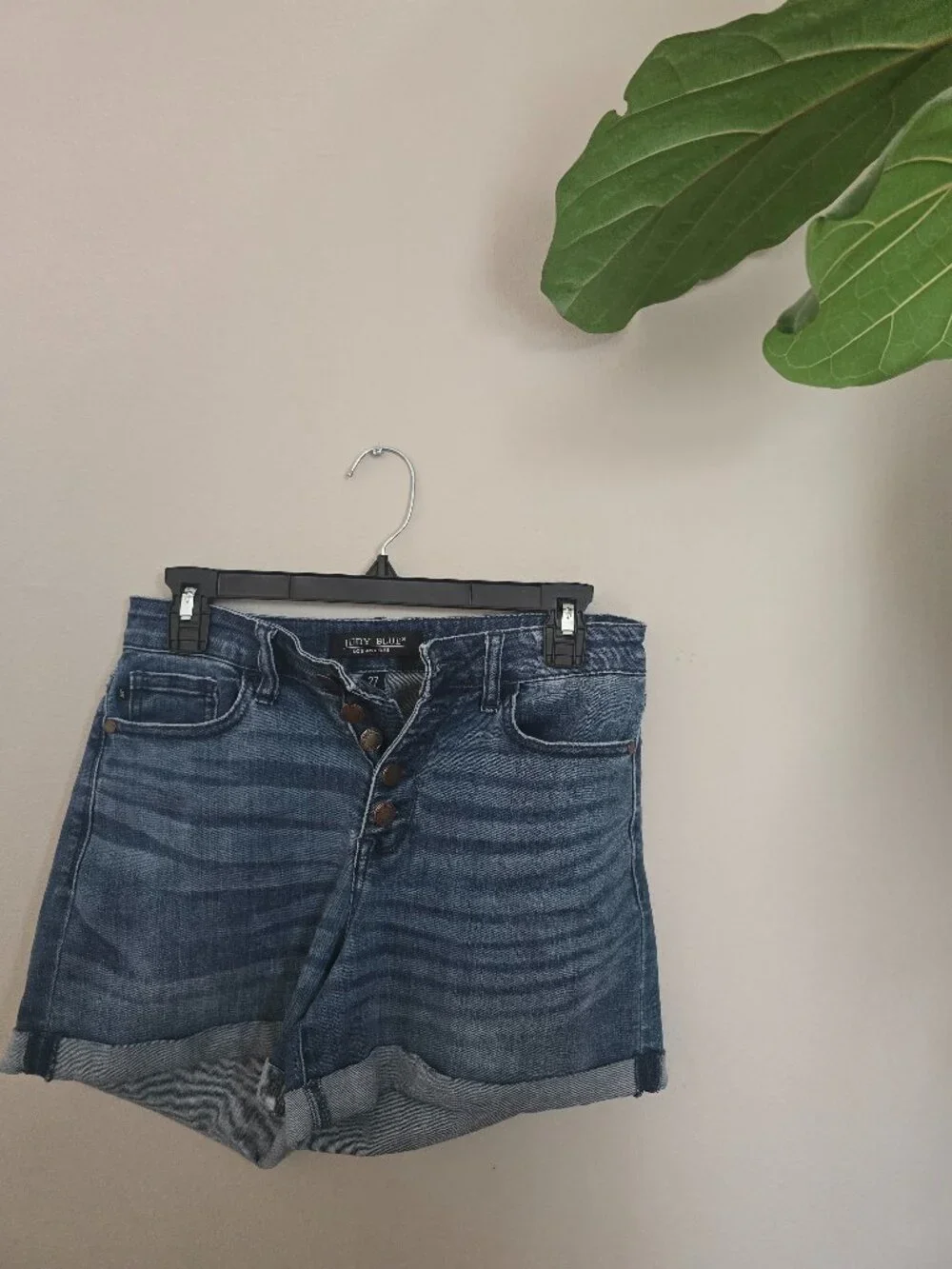 Judy Blue Denim Shorts